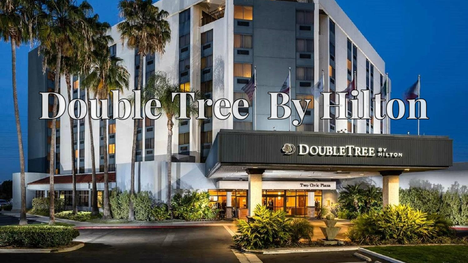 Double Tree  By Hilton